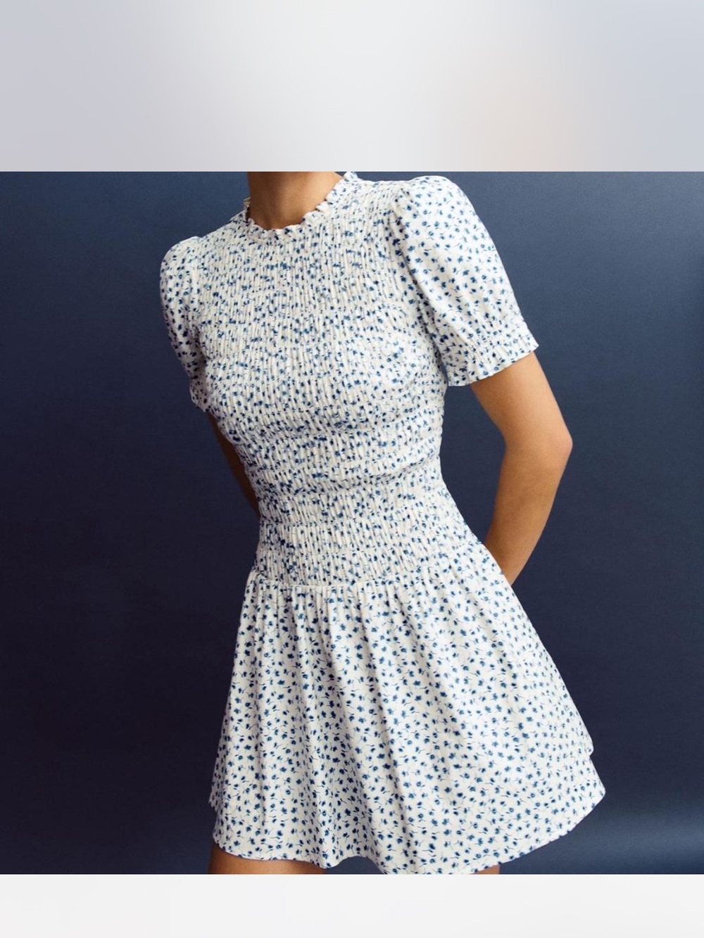 Reformation Leannah Smocked Floral Short Sleeve Mini Dress in White and Blue